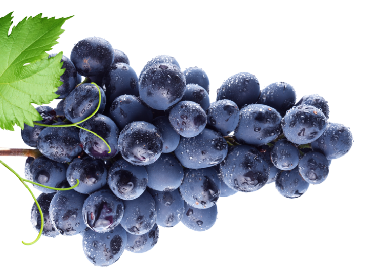 Uvas tintas